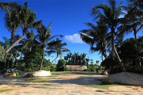 白沙門(mén)公園 張峰攝.jpg