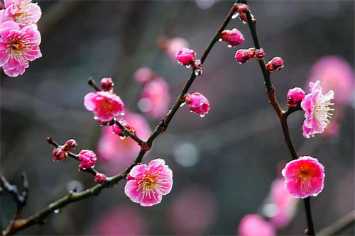 詩(shī)01.jpg