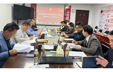 海南省海洋產(chǎn)業(yè)集團(tuán)有限公司黨委傳達(dá)學(xué)習(xí)省委八屆四次全會(huì)精神