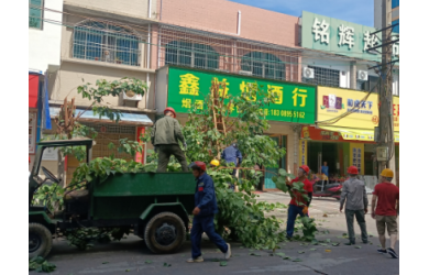 積極應(yīng)對(duì)臺(tái)風(fēng)“泰利”  確保群眾生命財(cái)產(chǎn)安全