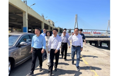 海南省旅游投資發(fā)展有限公司到白馬基地考察合作項目