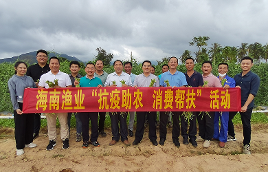 抗疫助農(nóng)解民憂 消費(fèi)幫扶促振興海南漁業(yè)開展“抗疫助農(nóng) 消費(fèi)幫扶”活動(dòng)