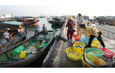 漁港公司：魚(yú)貨交易火爆