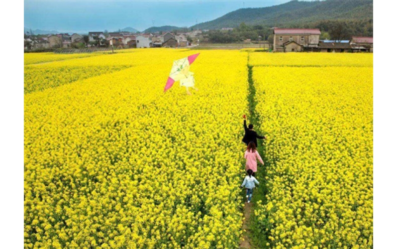 《春游》  詩10首 作者：張峰
