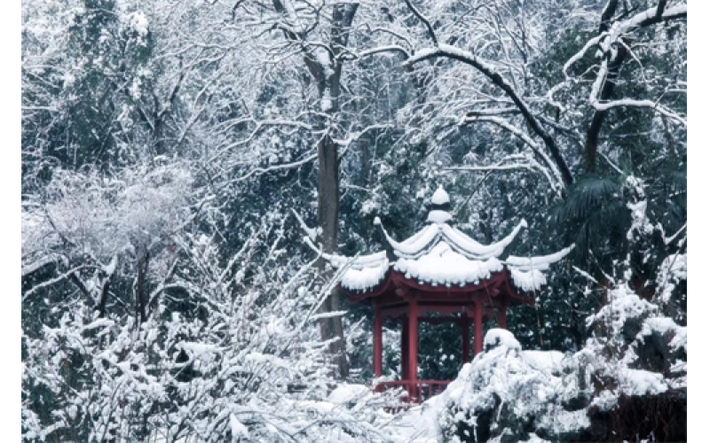 《風(fēng)雨雪》  詩10首  作者：張峰