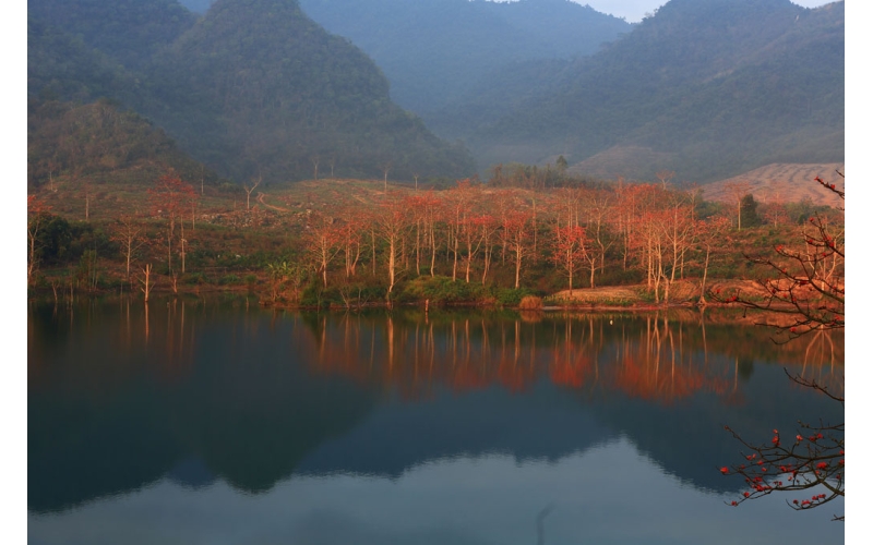 《煙雨蒙蒙》詩10首  作者：張峰