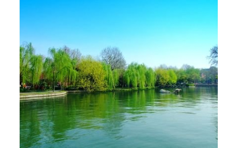 《盼春歸》 詩10首 作者：張峰