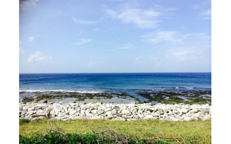 海的那邊  作者：張峰