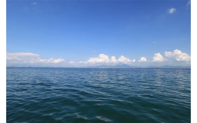 哭泣的海    作者：張峰