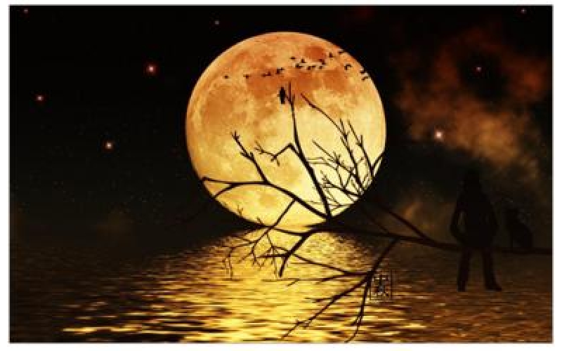 《中秋月夜思》  詩(shī)10首  作者：許文武  